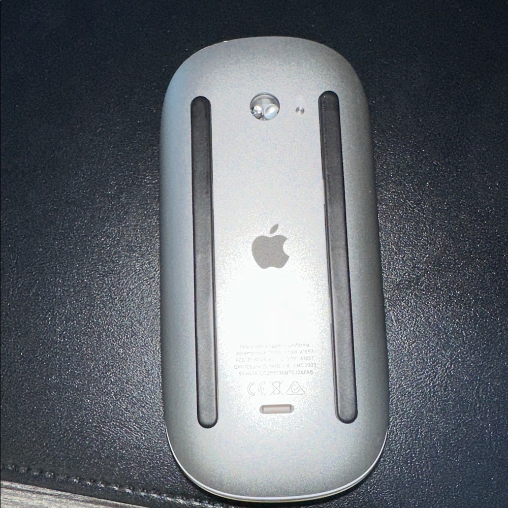 1 Magic Mouse - Picture 2 of 2